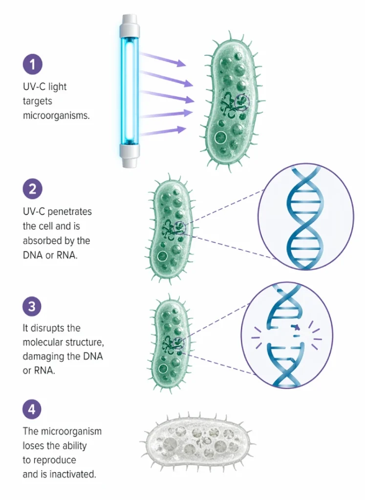 UV-C Light Installation in Austin